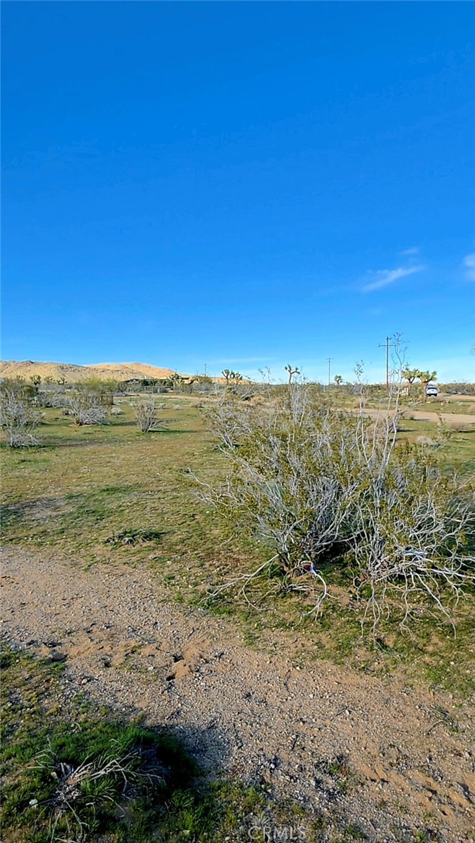 59787 Sharp Terrace Drive Property Photo 16