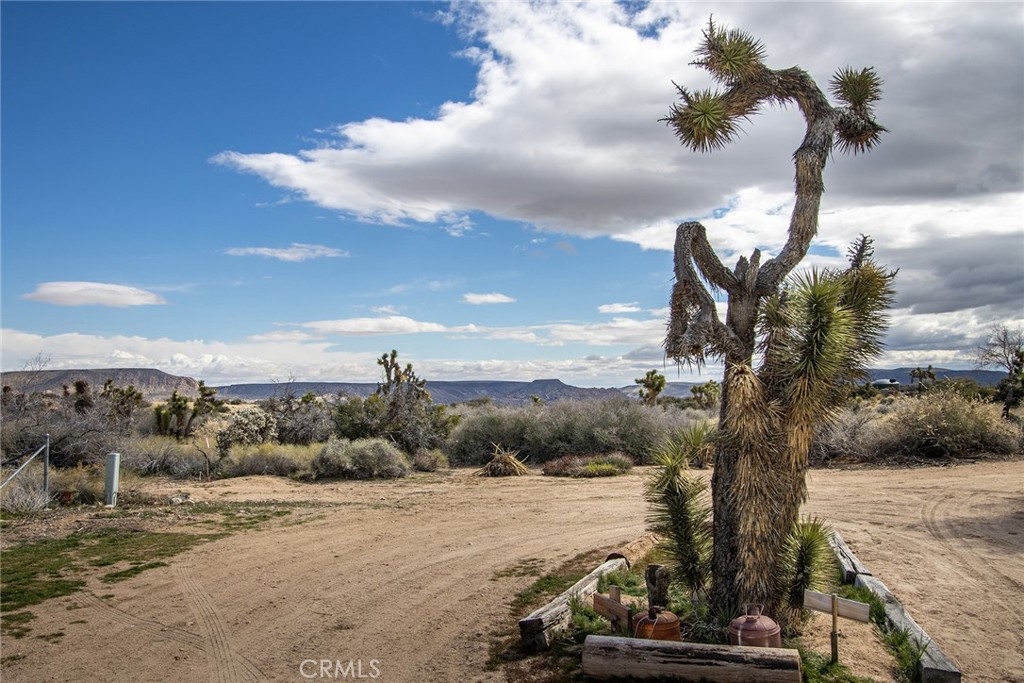 2863 Ox Yoke Property Photo 43