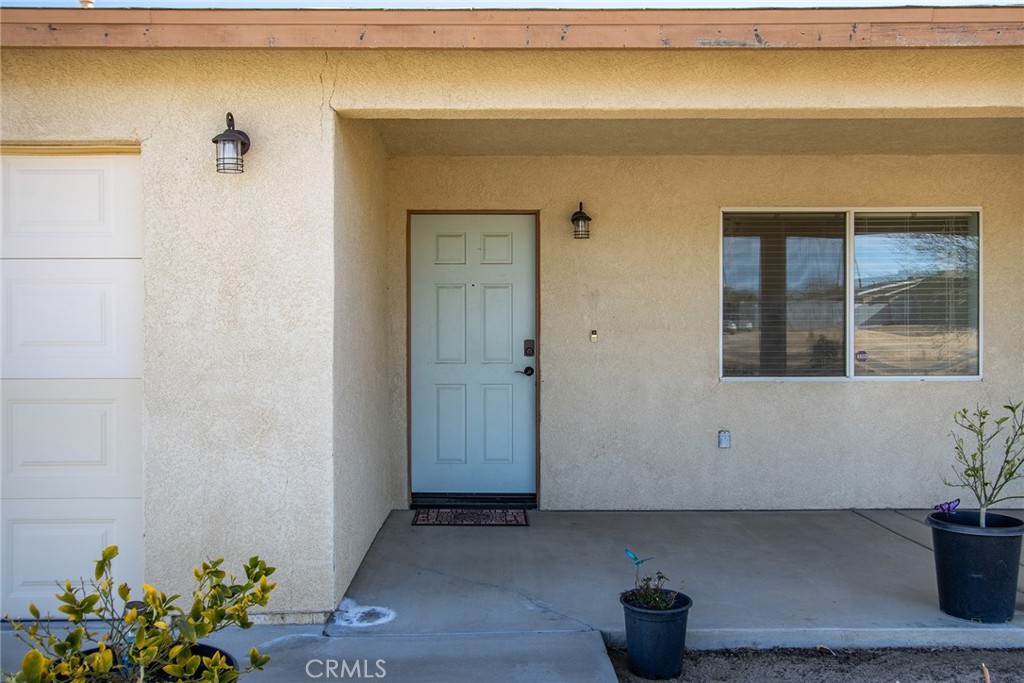 3619 Lexington Property Photo 4