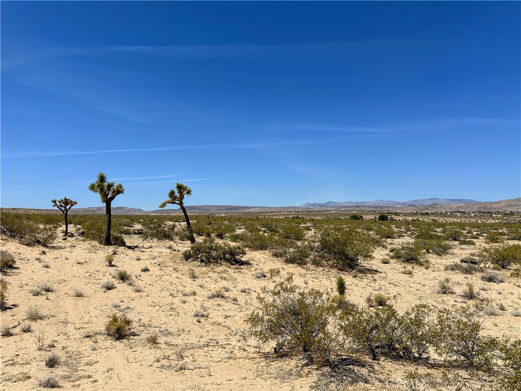 0 Amargo Road Property Photo 1