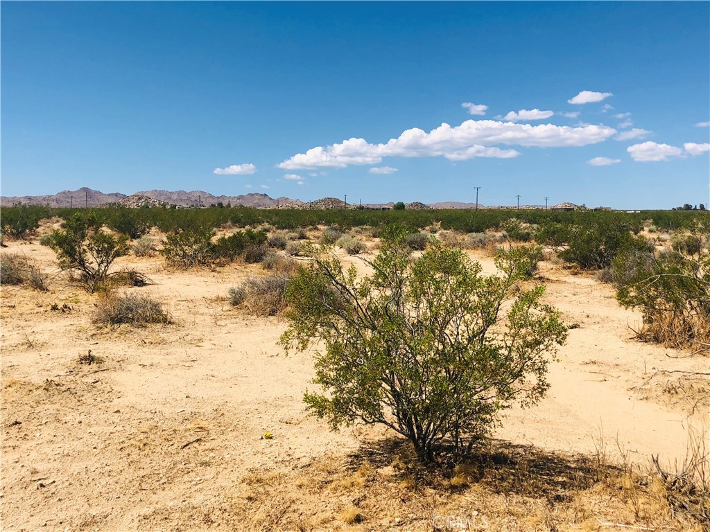 0 Near Dusty Mile Road Property Photo 4