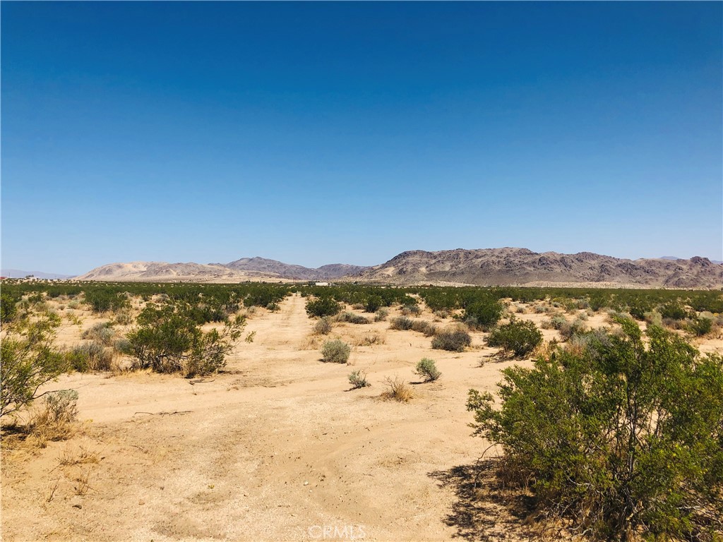 0 Near Dusty Mile Road Property Photo 8
