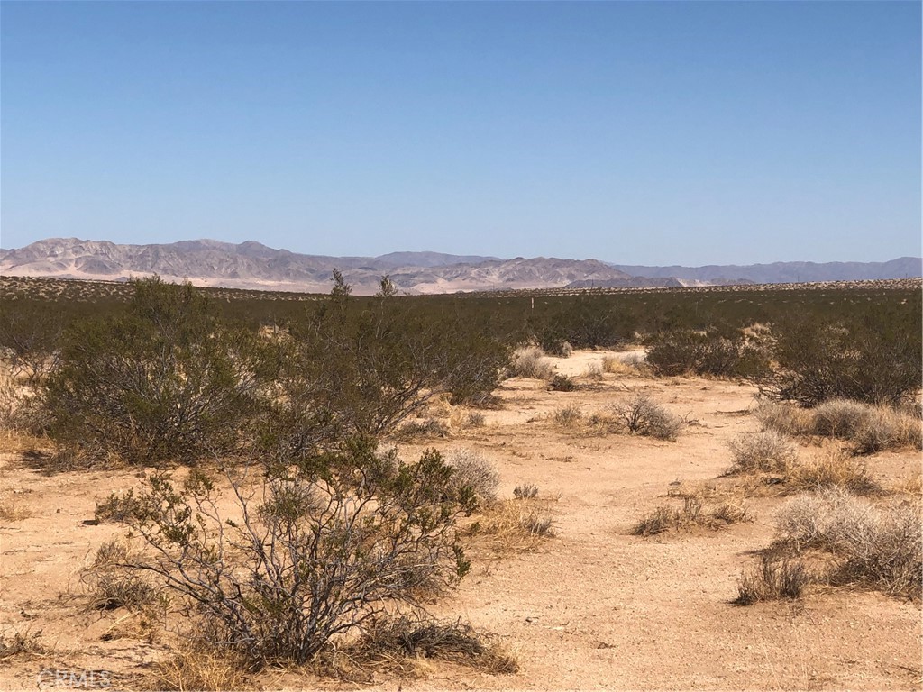 0 Near Daisy Lane Property Photo 1