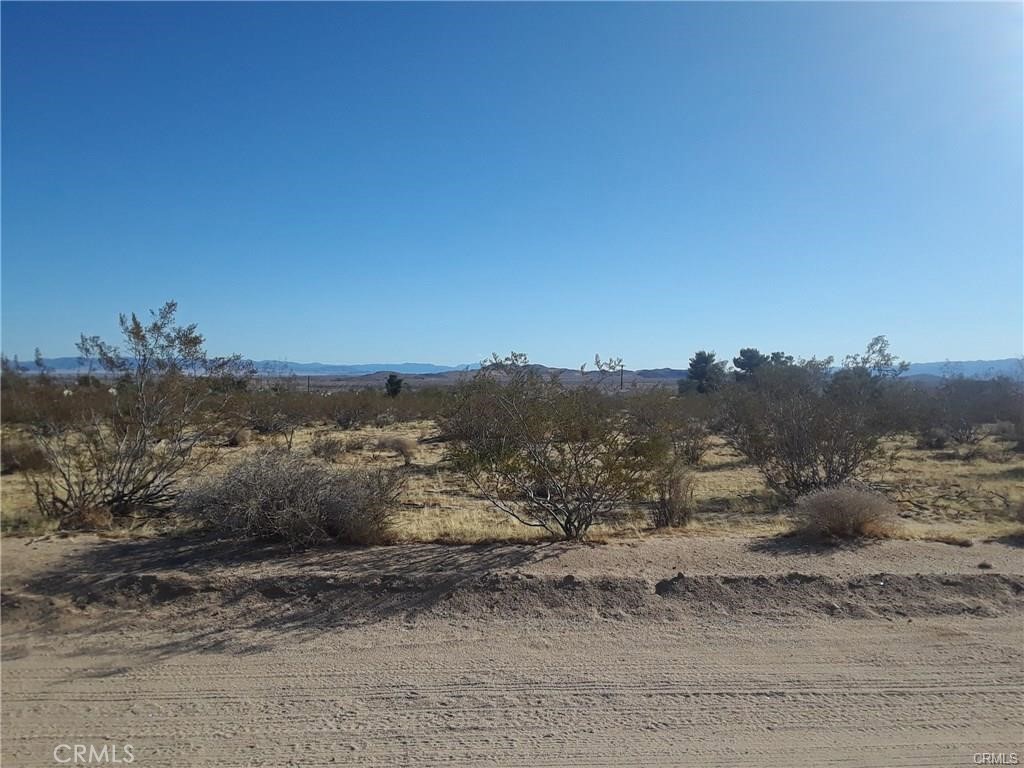345 Deer Trail Property Photo 2