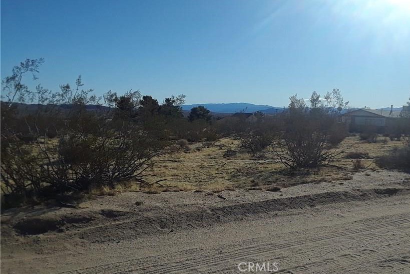 345 Deer Trail Property Photo 3