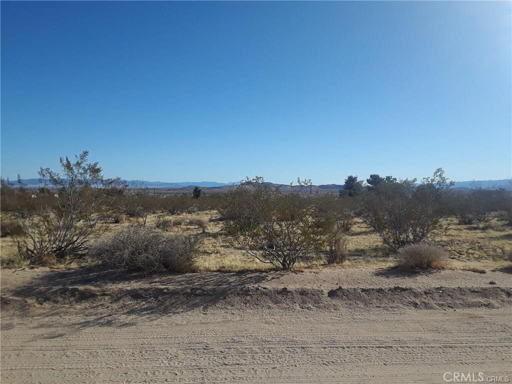345 Deer Trail Property Photo 4