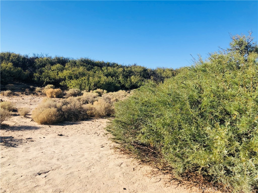 0 E Of Mesquite Avenue Property Photo 3