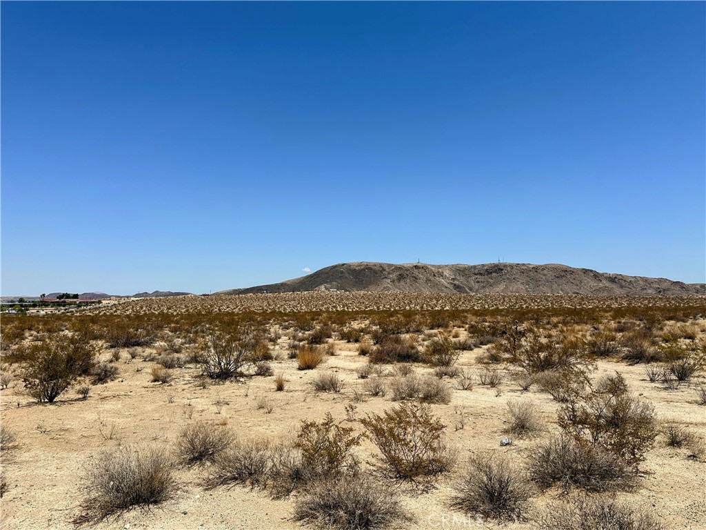66500 29 Palms Highway Property Photo 2