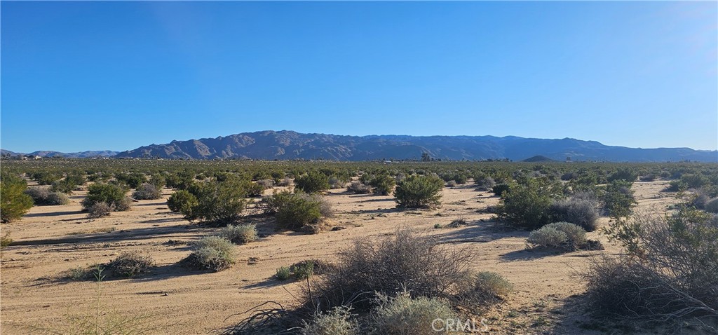0 Mesquite Springs Property Photo 5