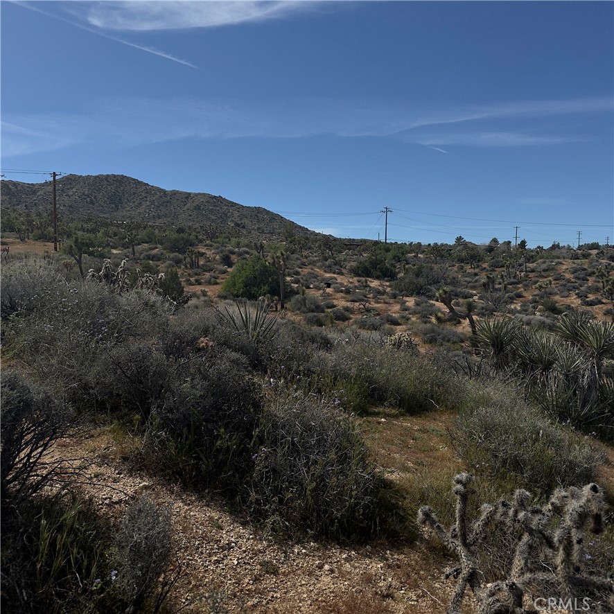 8164 Jemez Property Photo 4