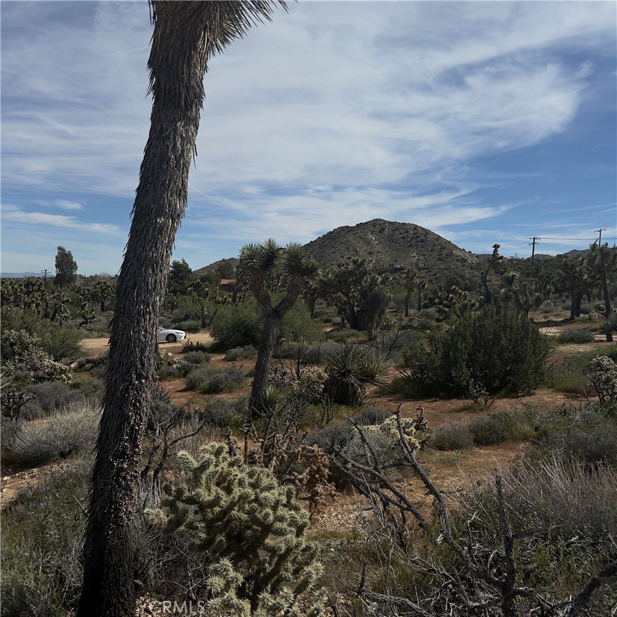 8164 Jemez Property Photo 7