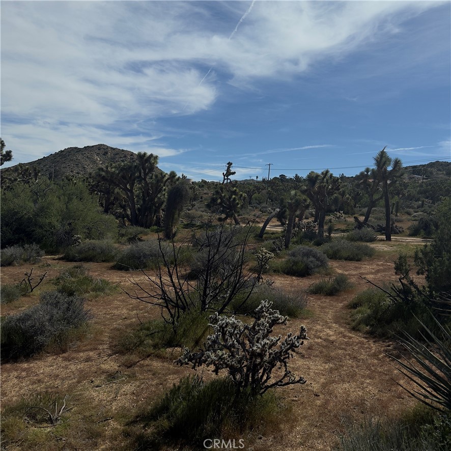 8164 Jemez Property Photo 15