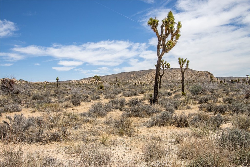 52552 Gamma Gulch Property Photo 3