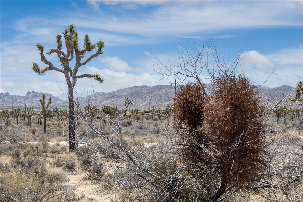 52552 Gamma Gulch Property Photo 4