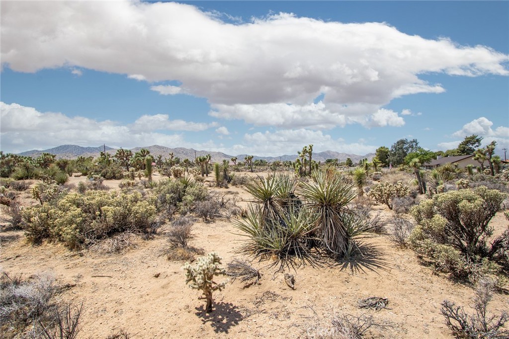 52552 Gamma Gulch Property Photo 8