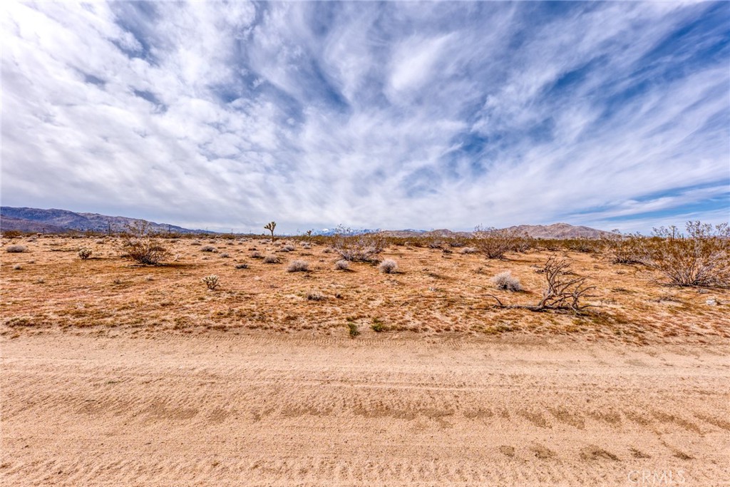 147 Little Road Property Photo 1
