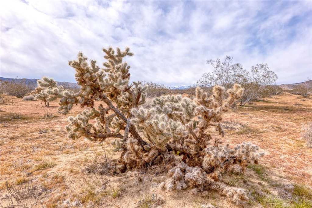 147 Little Road Property Photo 2