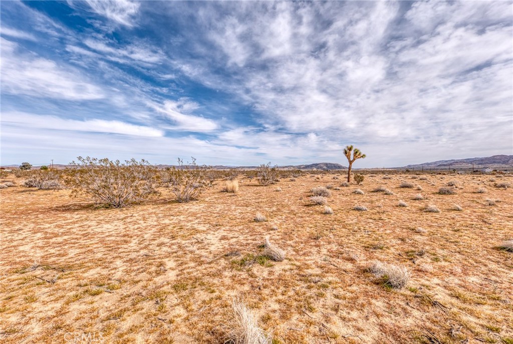 147 Little Road Property Photo 3