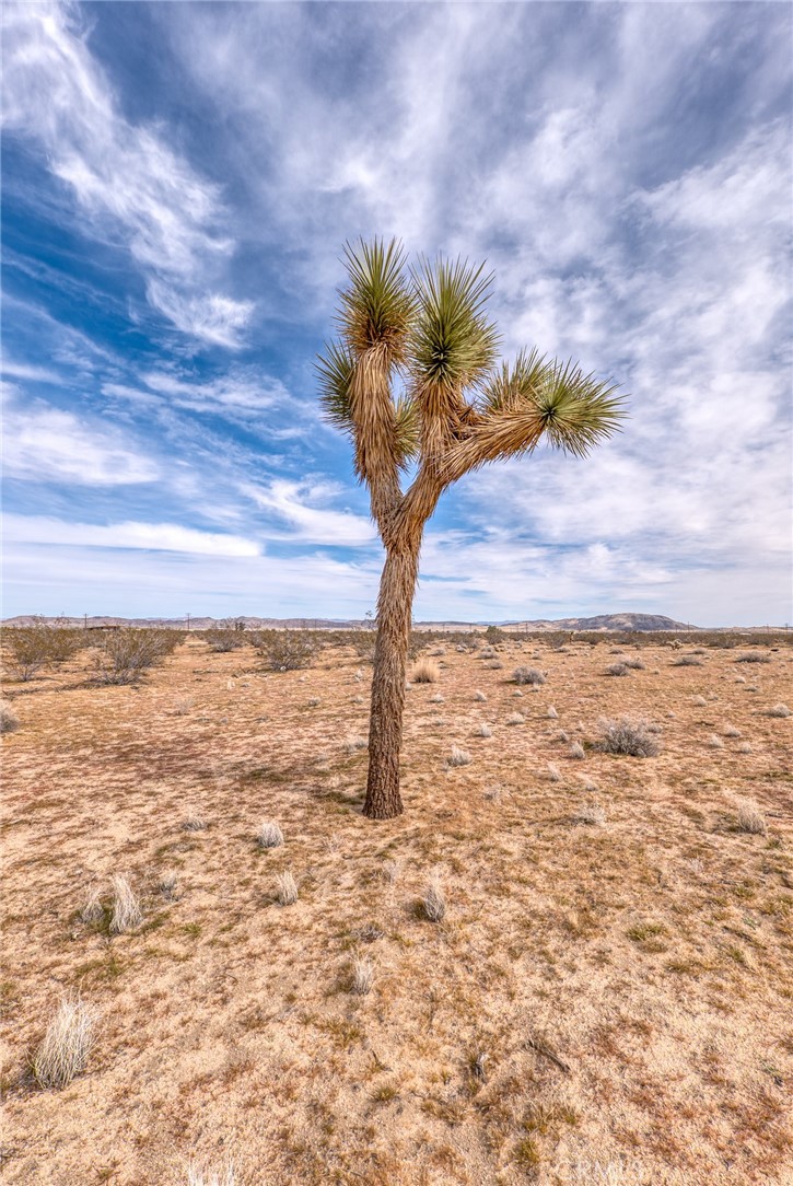 147 Little Road Property Photo 4