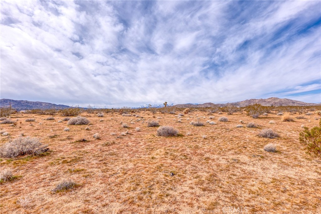 147 Little Road Property Photo 5