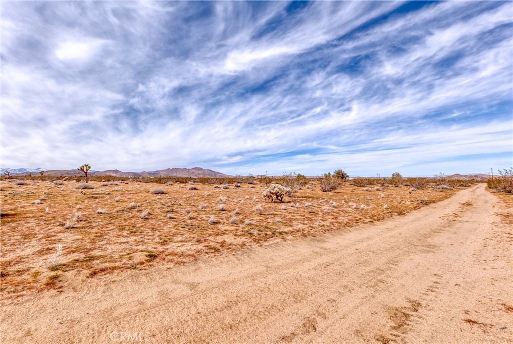 147 Little Road Property Photo 6