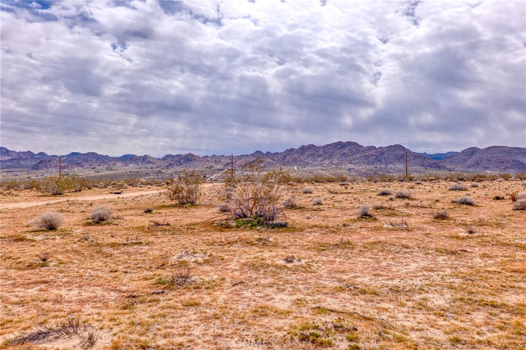 147 Little Road Property Photo 9