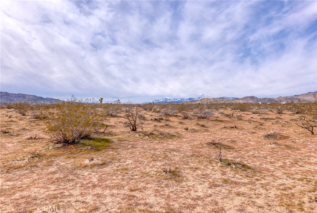 147 Little Road Property Photo 10