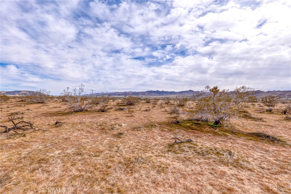 147 Little Road Property Photo 11