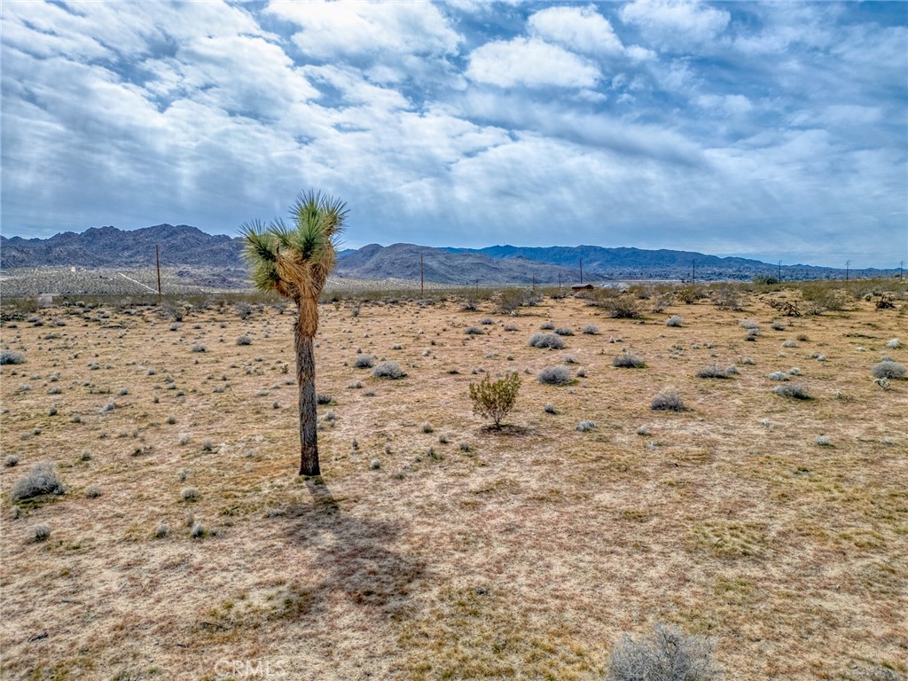 147 Little Road Property Photo 15