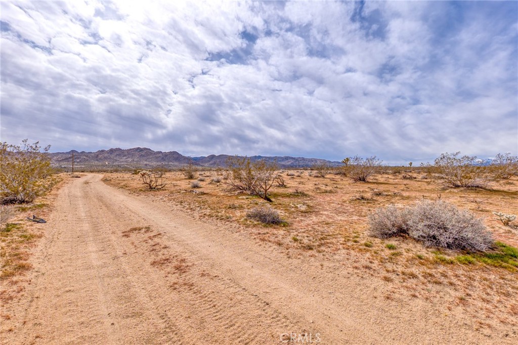147 Little Road Property Photo 16