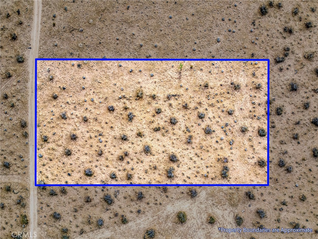 147 Little Road Property Photo 31