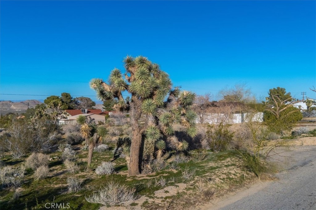 60432 Latham Trail Property Photo 1