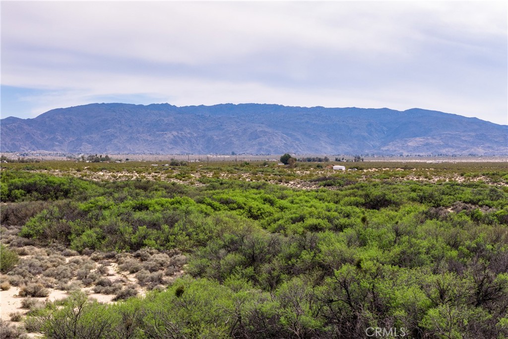 72767 Mesquite Dunes Road Property Photo 43