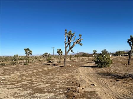 57031 Buena Vista Property Photo 2