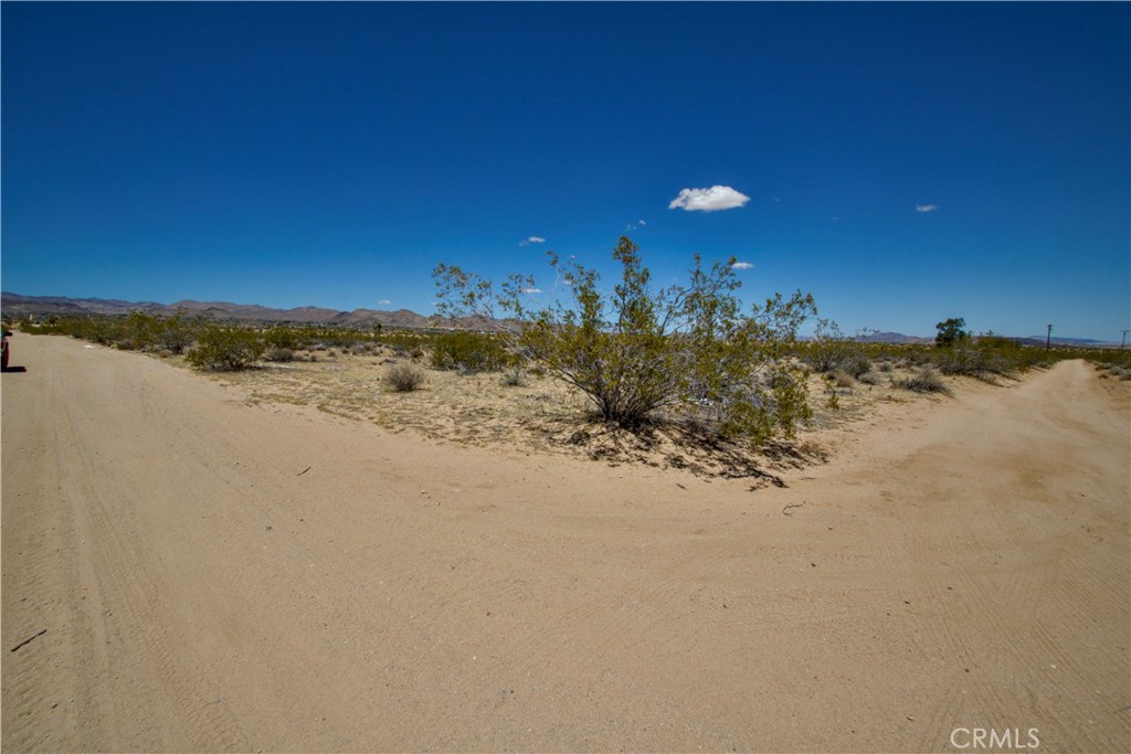 888 Lucky Lane Property Photo 3