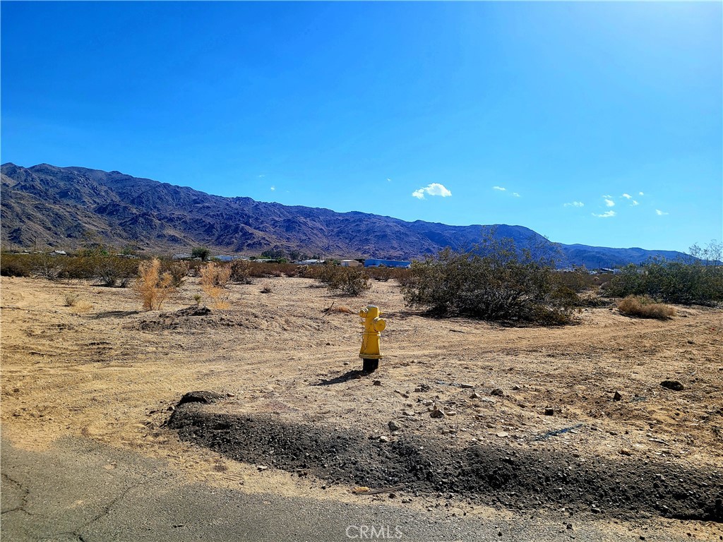73485 Old Dale Road Property Photo 3