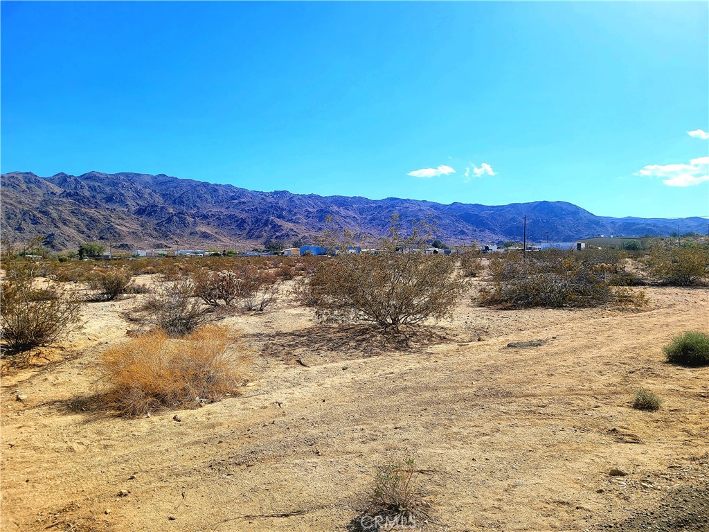 73485 Old Dale Road Property Photo 4
