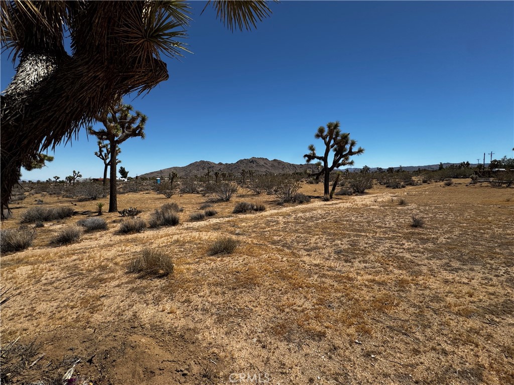0 Alta Property Photo 11