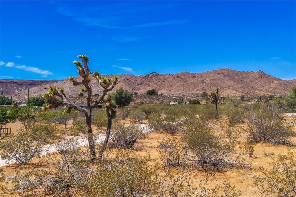 55926 Tananger Road Property Photo 1