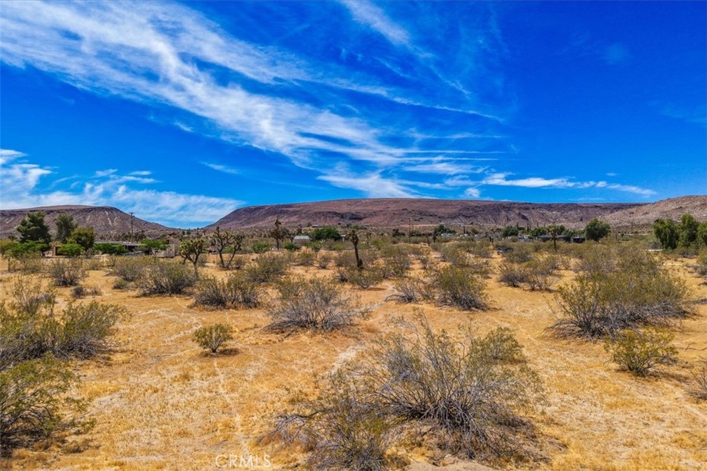 55926 Tananger Road Property Photo 6