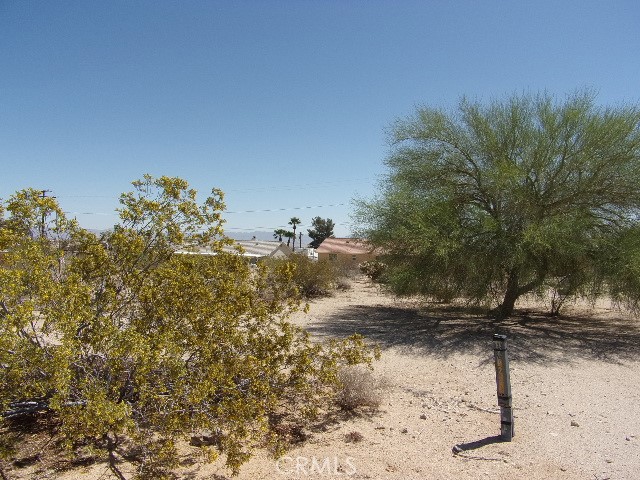 0 Canyon Road Property Photo 1