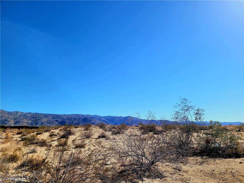 73101 Two Mile Road Property Photo 6