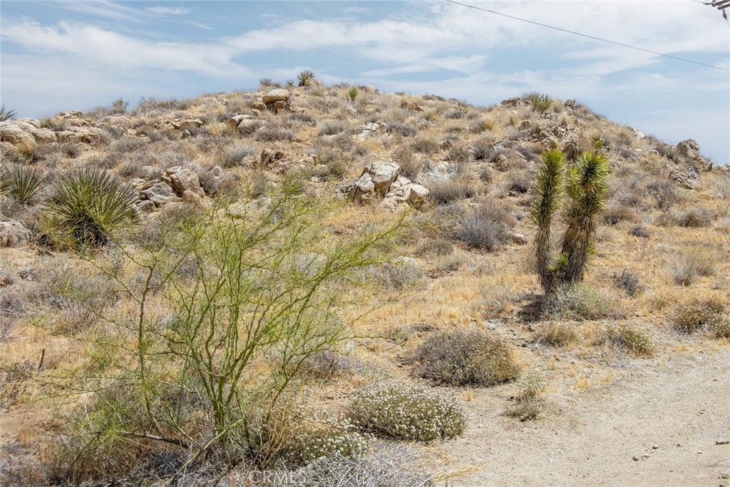 8811 Sage Property Photo 13