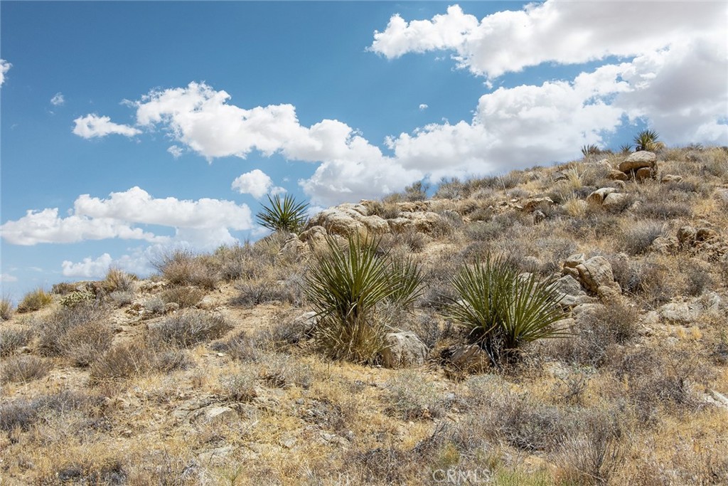 8811 Sage Property Photo 14