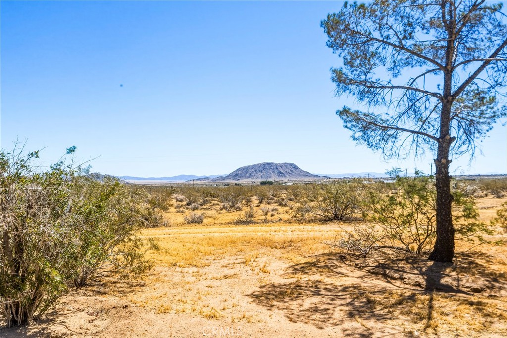 56674 Cone Boulevard Property Photo 46