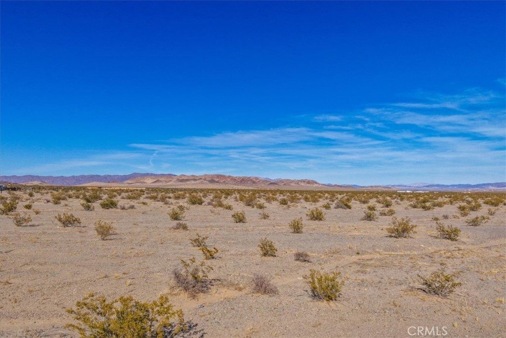127 Waylyn Property Photo 10