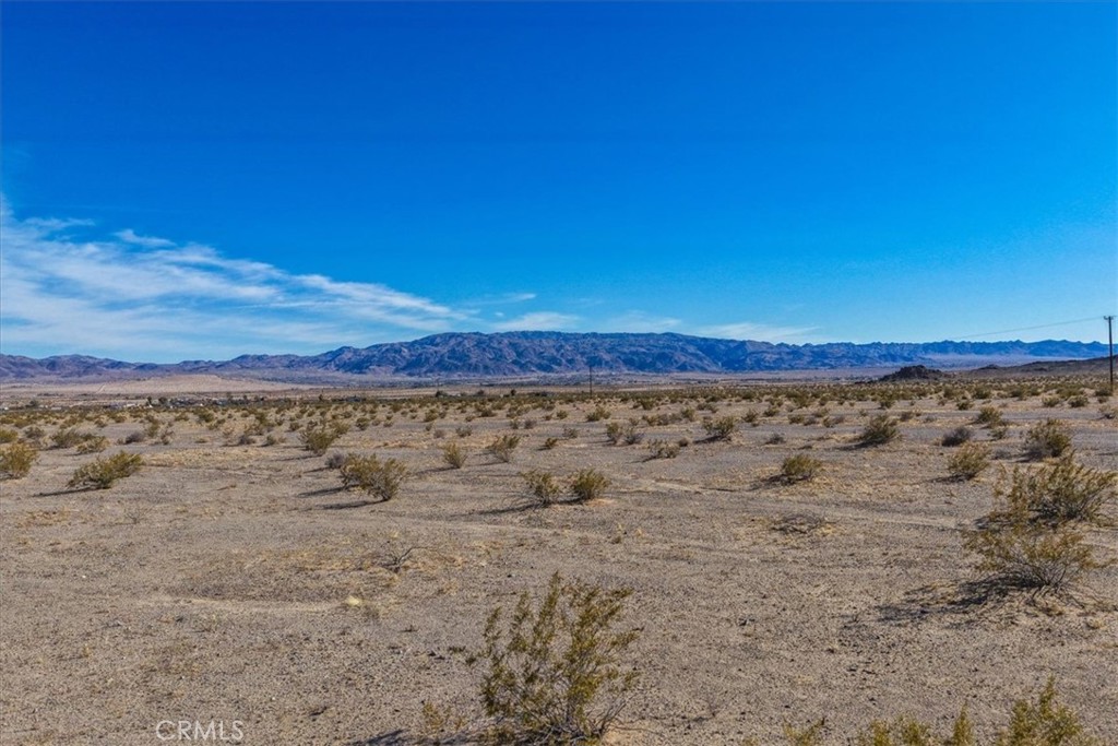 127 Waylyn Property Photo 13