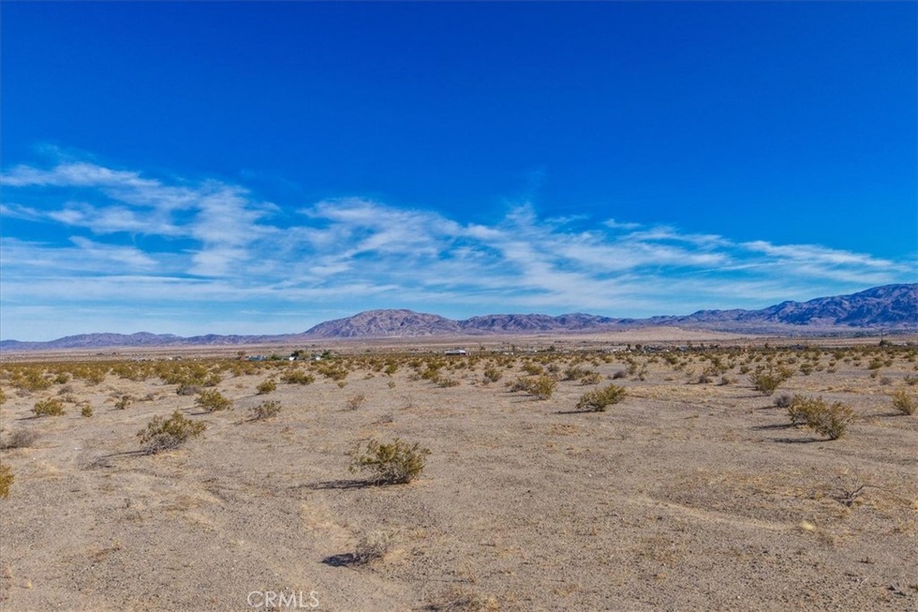 127 Waylyn Property Photo 14
