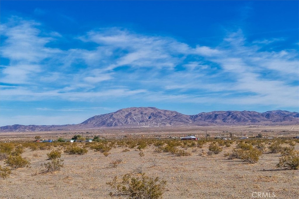 127 Waylyn Property Photo 15