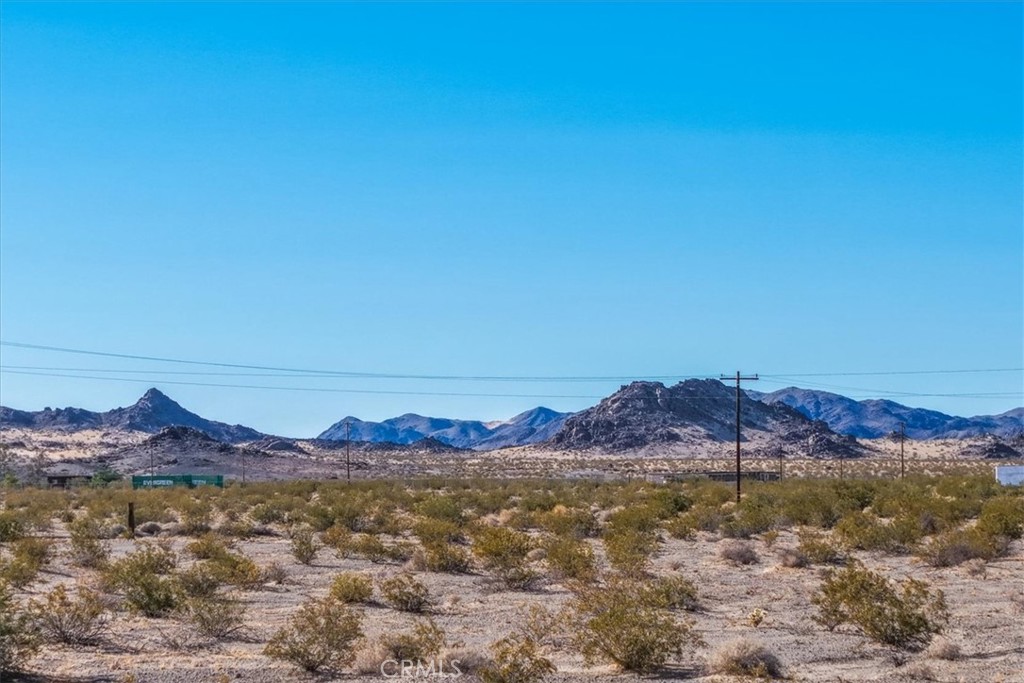 127 Waylyn Property Photo 19